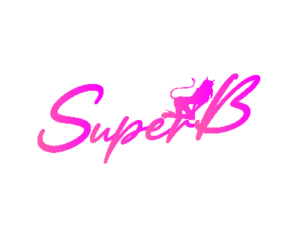 MDFG-1773953180181-b63dd84e