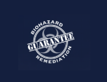 djfgsd-1774111547965-cfddab1a