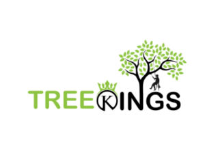 fsdfsf-1774936881405-1e6b0b52