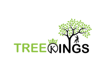 fsdfsf-1774936881405-1e6b0b52