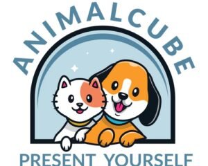 hhfg-1774307646568-e36754d2