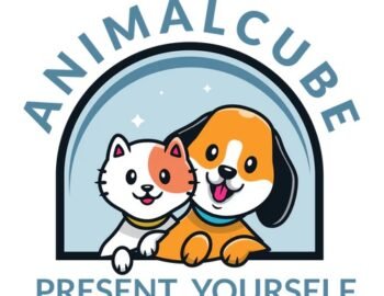 hhfg-1774307646568-e36754d2