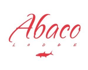 jhdjj-1774102989212-c469b553