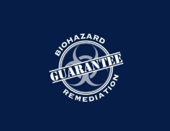 jkdjj-1774890561079-833db23d