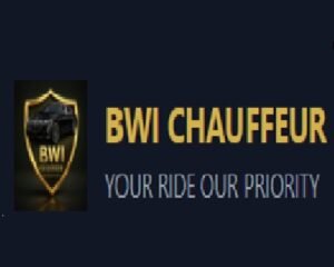 logo-07-1773858949715-17d5a207