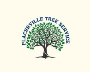 mnbb-1774560723096-3c32fa00