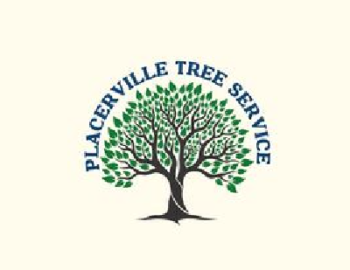 mnbb-1774560723096-3c32fa00