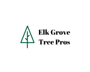 msdfg-1774560219334-68882b8b