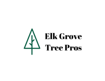 msdfg-1774560219334-68882b8b