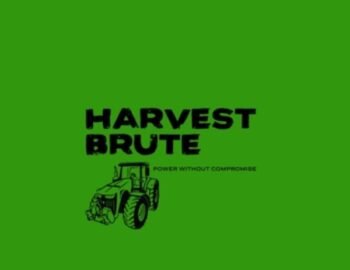 sdfgdfgdgdfggsd-1773659303482-56d92ab6