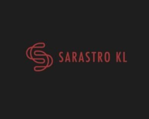 shsh-1774708828456-db174239