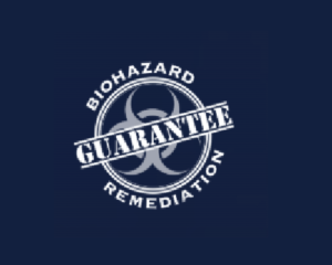 skldhfsdf-1774045306850-a4774b77