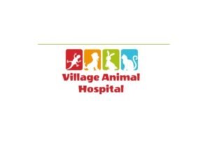 yryyryyry-1773904852627-4df0c97d