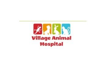 yryyryyry-1773904852627-4df0c97d