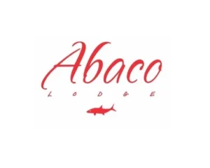 tyuuutuytu-1775559850258-bcc29594