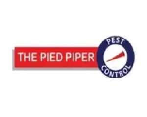 thepiedpiper4900-1785926086959-3b1a89e5