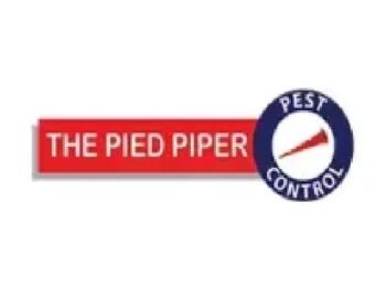 thepiedpiper4900-1785926086959-3b1a89e5